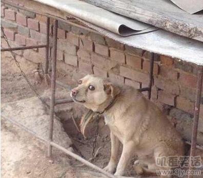 开会的时候突然发飙,开会老板发火视频