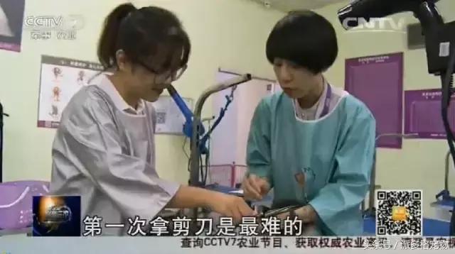 cctv采访万涛,cctv专访