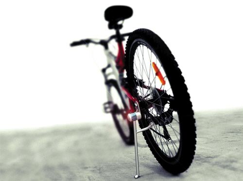 骑自行车的亲子英语,教小孩骑自行车