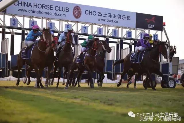 国际驭马文化节展示,cecf国际驭马文化节
