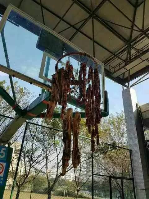 篮球场被占用了找什么部门,篮球场被霸占跳广场舞如何处理