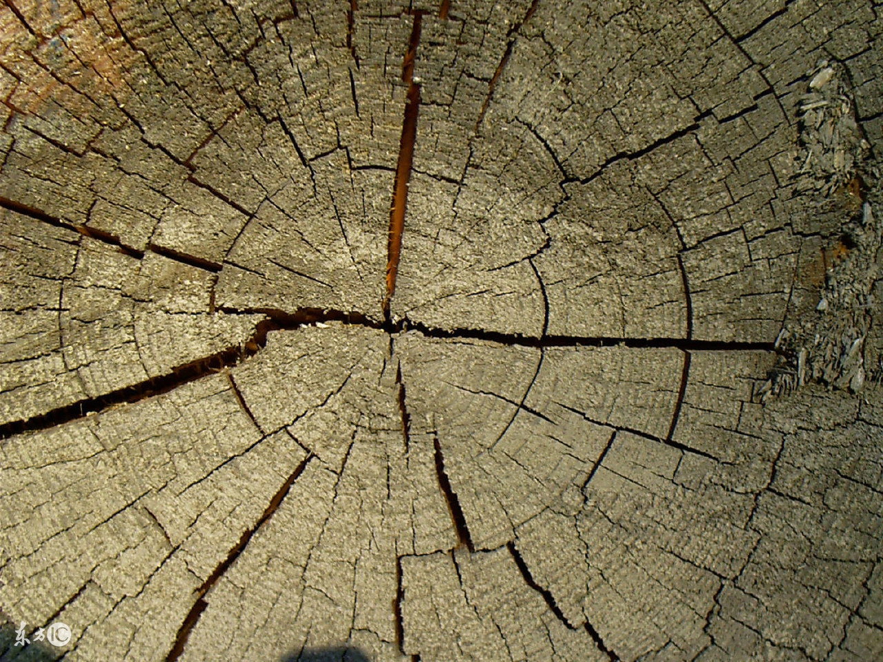 时间无法治愈一切,时间无法治愈一切阴影