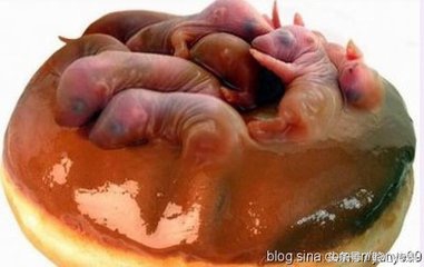 令人毛骨悚然的食物！重口到你无法想象真的有人敢吃吗？