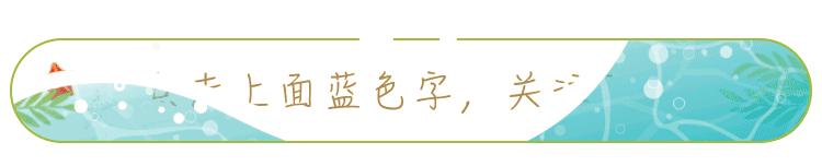 广州二沙岛步行桥规划,广州二沙岛改造
