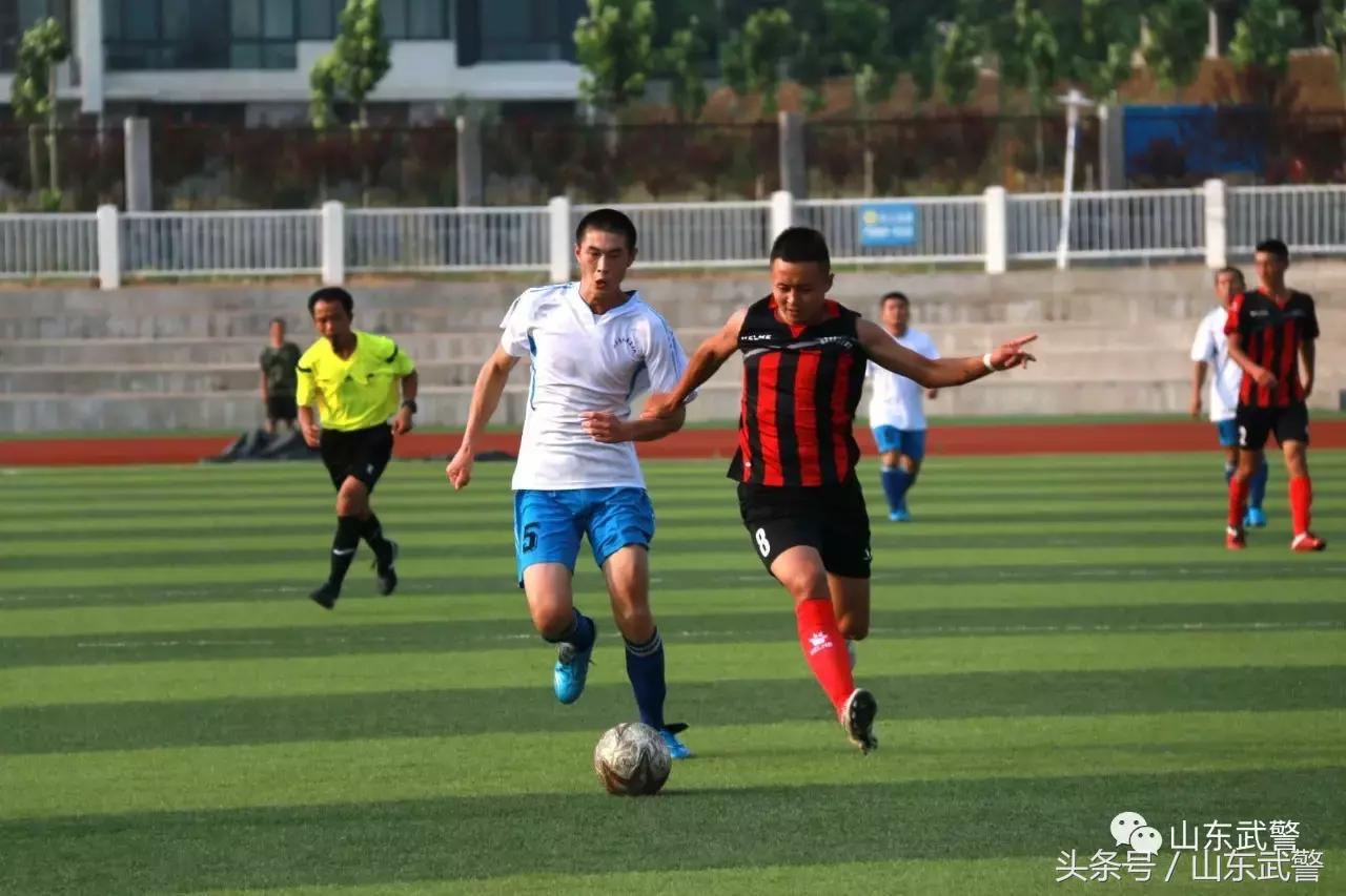 卫士动力110,卫士动力