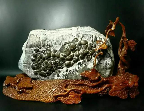 长满小疙瘩的石头,浑身起的密密麻麻的疙瘩不痒