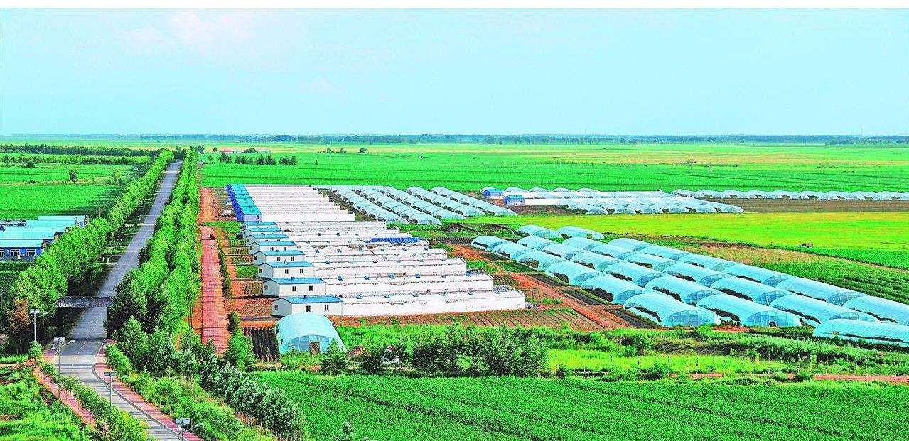 合作社达到100亩国家补贴有啥政策,农业合作社超过30万免税申报