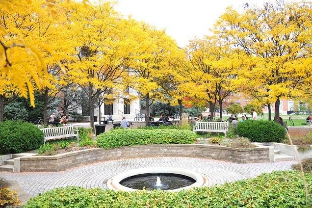 美国农民挣钱,美国农民种树