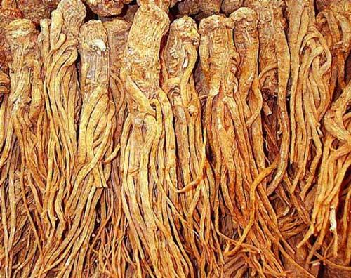 抗癌补血的民间药方,补血益气排毒抗衰