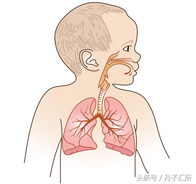 咳嗽到肺炎的发展过程,从咳嗽到肺炎支气管炎要几天