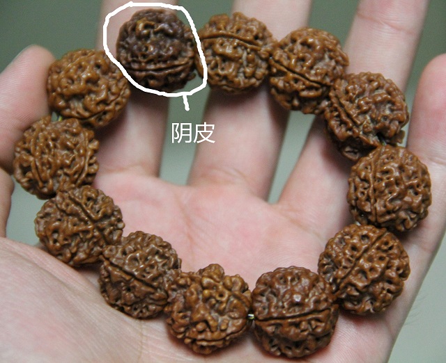 极品金刚菩提怎样挑选，金刚菩提籽多少钱一颗？你想知道的都在这