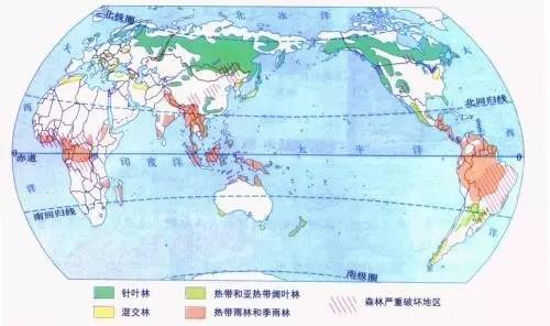实木地板介绍视频,实木地板鉴赏