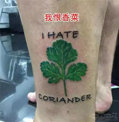 开会的时候突然发飙,开会老板发火视频