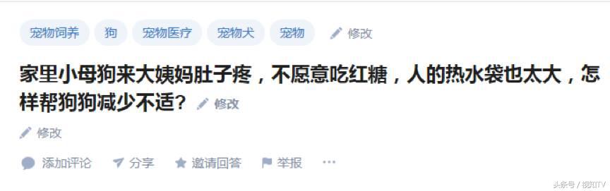 你知道狗狗有什么特征吗,狗狗来姨妈大约是在它几岁的时候