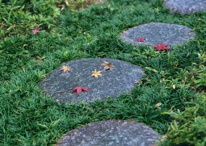 一代中师生深度解析,一代中师生重拾芳华