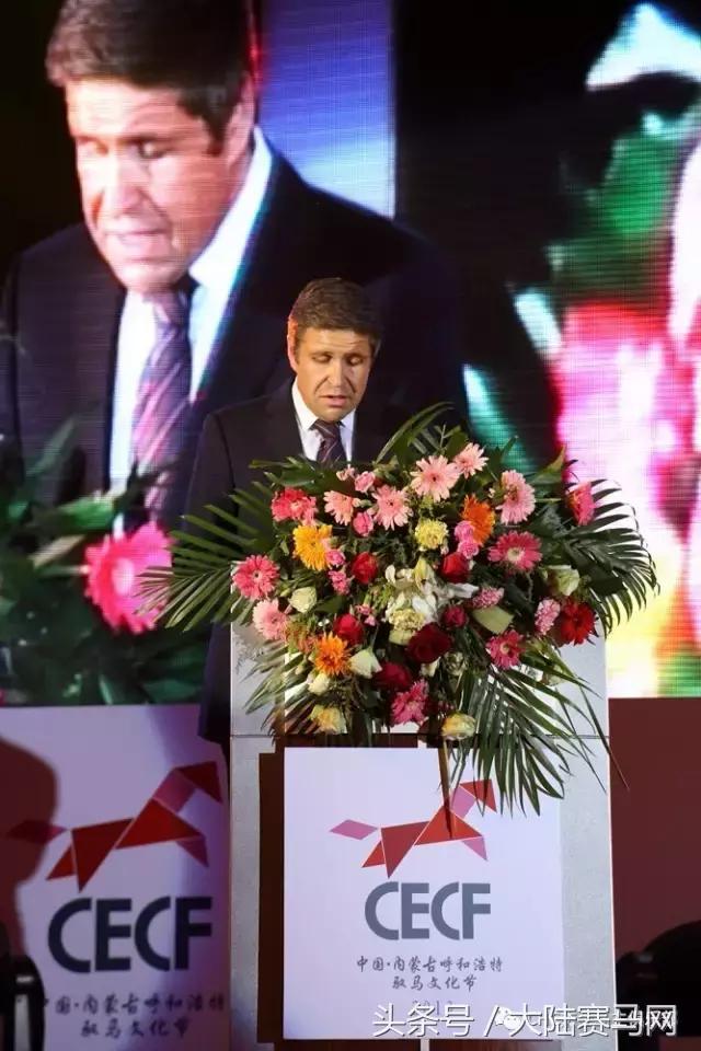 国际驭马文化节展示,cecf国际驭马文化节