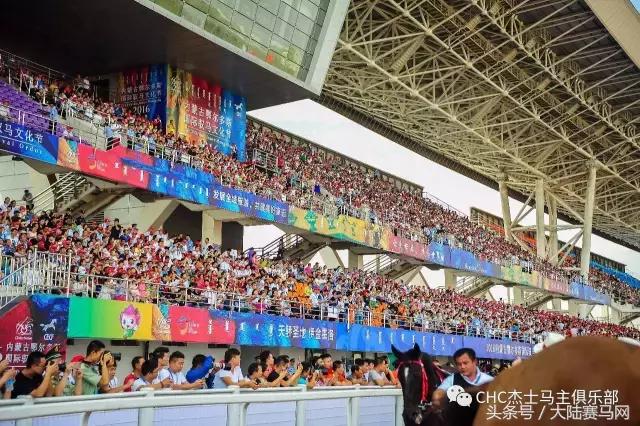 国际驭马文化节展示,cecf国际驭马文化节