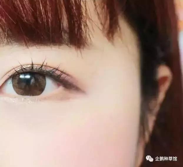 五款好气色腮红一秒妆出元气美肌,腮红怎么用才能显得元气满满的