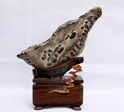 长满小疙瘩的石头,浑身起的密密麻麻的疙瘩不痒