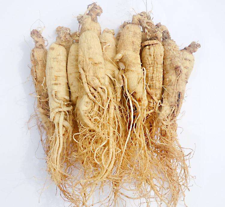 省市特产,各个省市农副特产