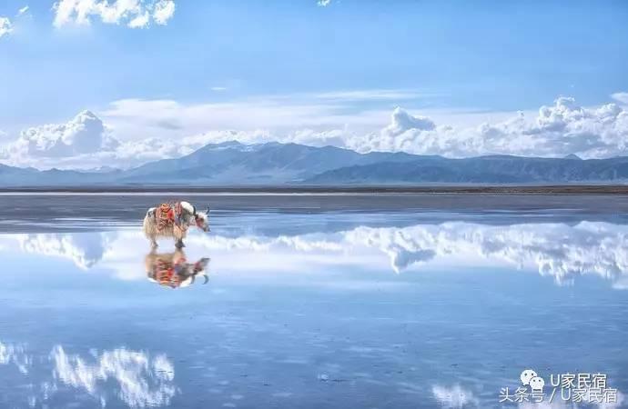 最美丽的青海湖,美丽的青海湖风景如画心旷神怡