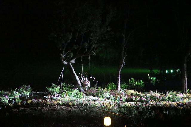 陶渊明桃花源记中的桃源,陶渊明诗中桃花源实景图片