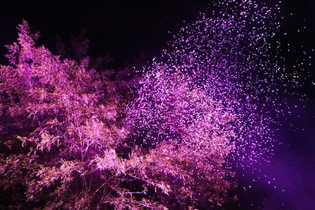 陶渊明桃花源记中的桃源,陶渊明诗中桃花源实景图片