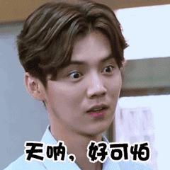 圣罗兰slp流苏包,圣罗兰流苏包值得买吗