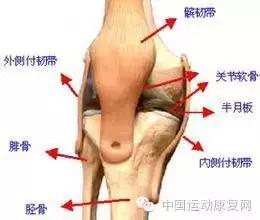 运动之后膝关节痛是怎么回事,运动后导致膝盖疼