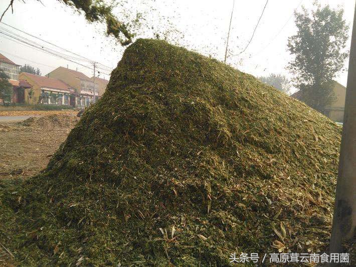 农村赚钱点子,农村致富新点子