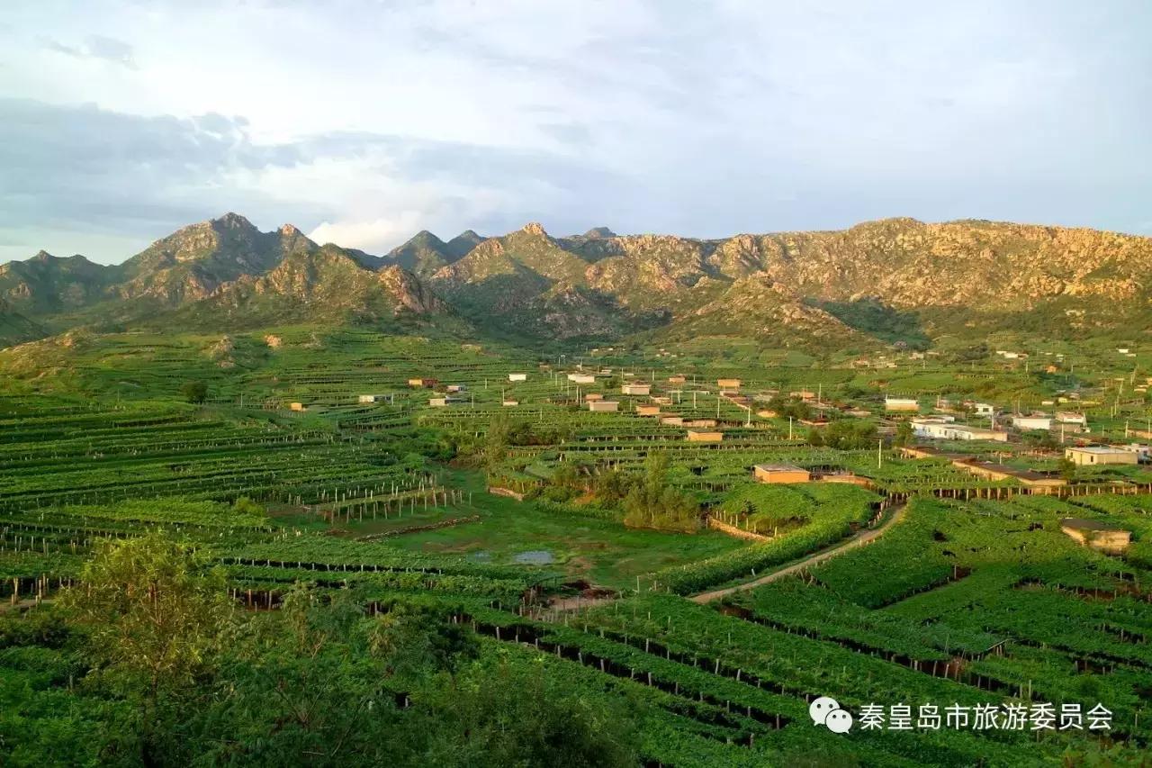 秦皇岛的特产有哪些,秦皇岛拿得出手的特产有哪些