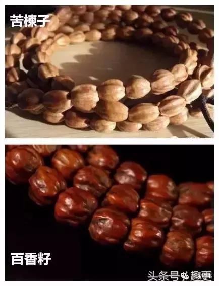 百香籽没黑点是假的吗,百香籽5厘米的是假货吗