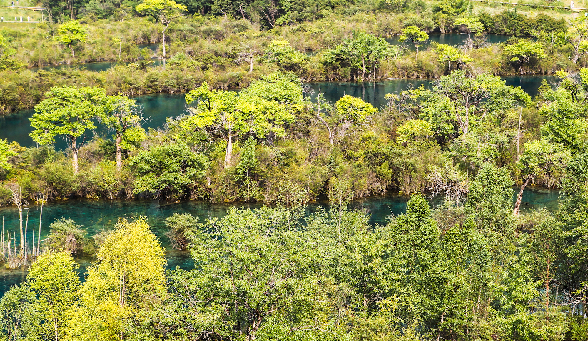 地震前的九寨沟美景,航拍地震前九寨沟所有景点