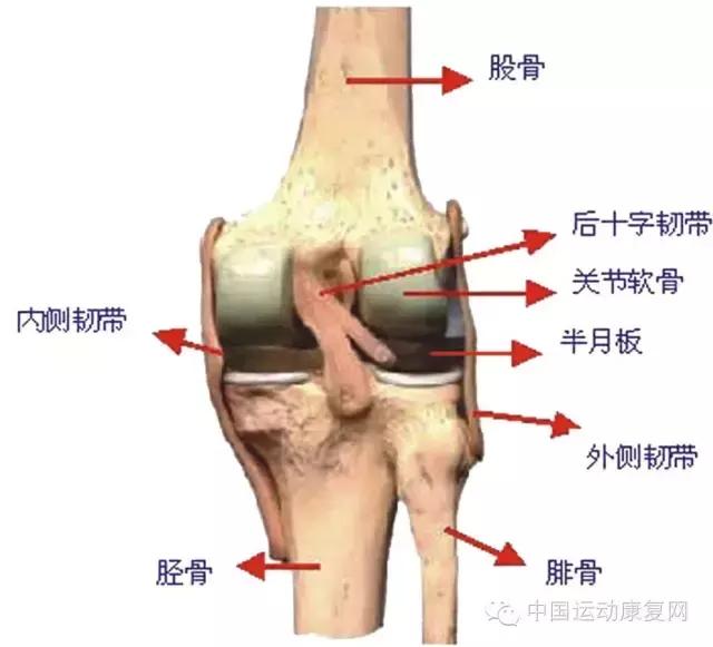运动之后膝关节痛是怎么回事,运动后导致膝盖疼