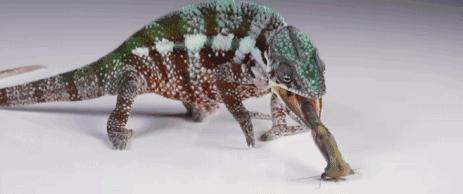 神的触手被做了出来，可以轻松吸住柱状体！