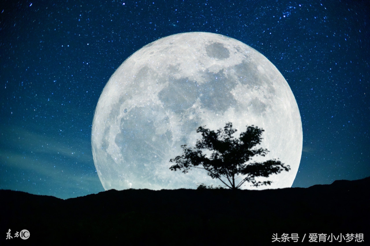 孩子胡思乱想，也算是想象力么！保护孩子的想象力从尊重开始