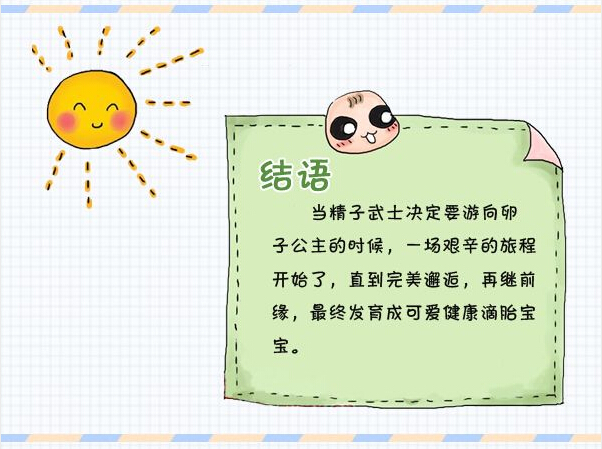 精子胚胎发育全过程,精子卵子发育过程