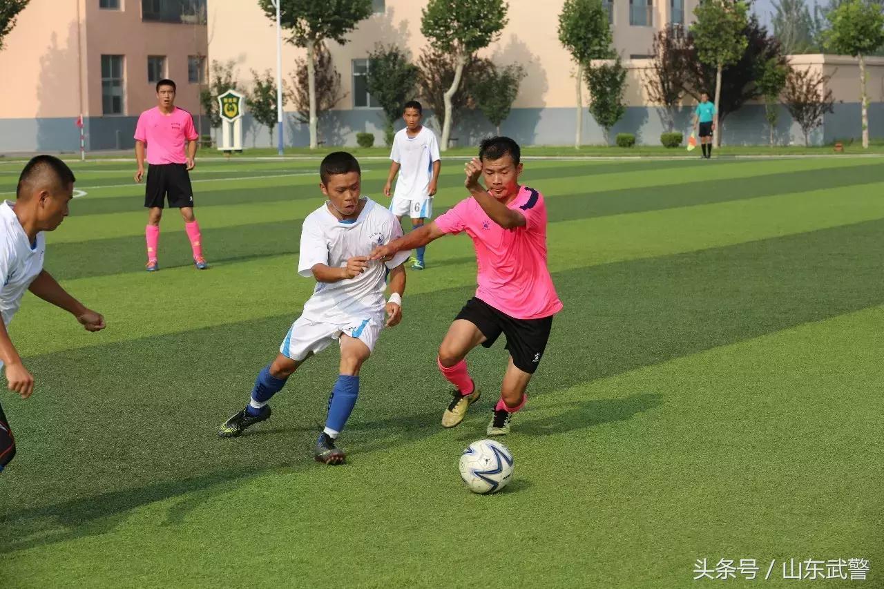 卫士动力视频,卫士动力杯