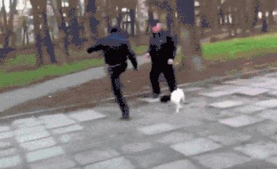 出门遛狗狗不拉屎怎么办,遛狗狗狗不愿意回家