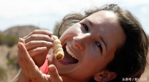 令人毛骨悚然的食物！重口到你无法想象真的有人敢吃吗？