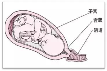 分娩的6大信号你知道吗？