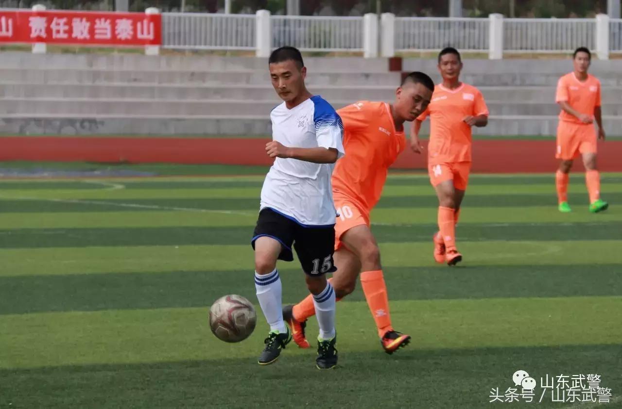 卫士动力110,卫士动力