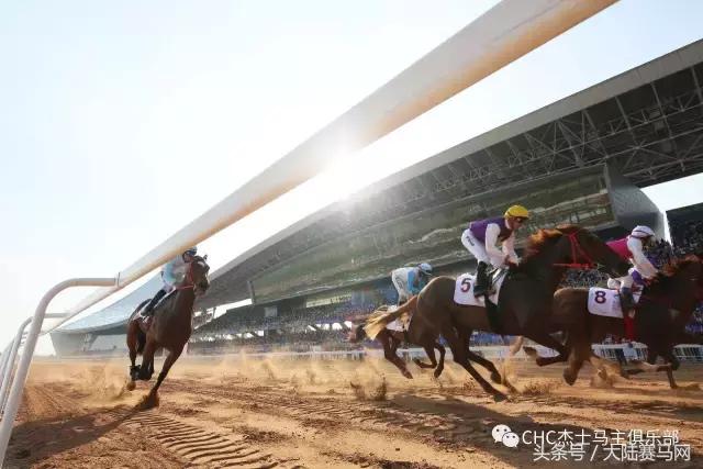 国际驭马文化节展示,cecf国际驭马文化节