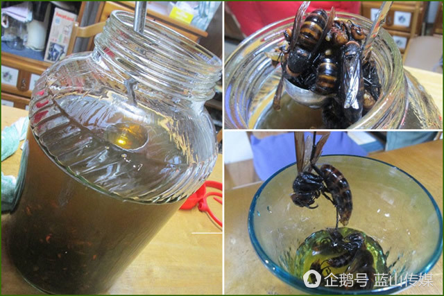 日本真奇葩五款发明,日本10大不可思议发明