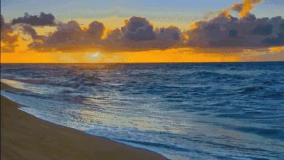 浅释《濒湖脉学》中的浮脉和滑脉（二）