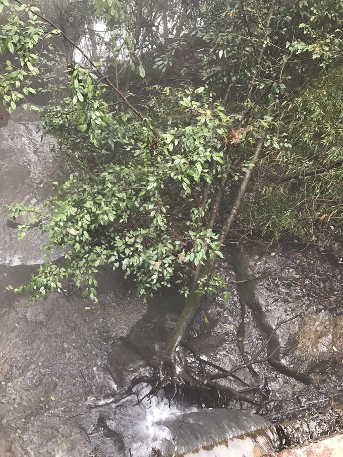 七天六晚长沙张家界吃货视角带你领略冰天雪地的张家