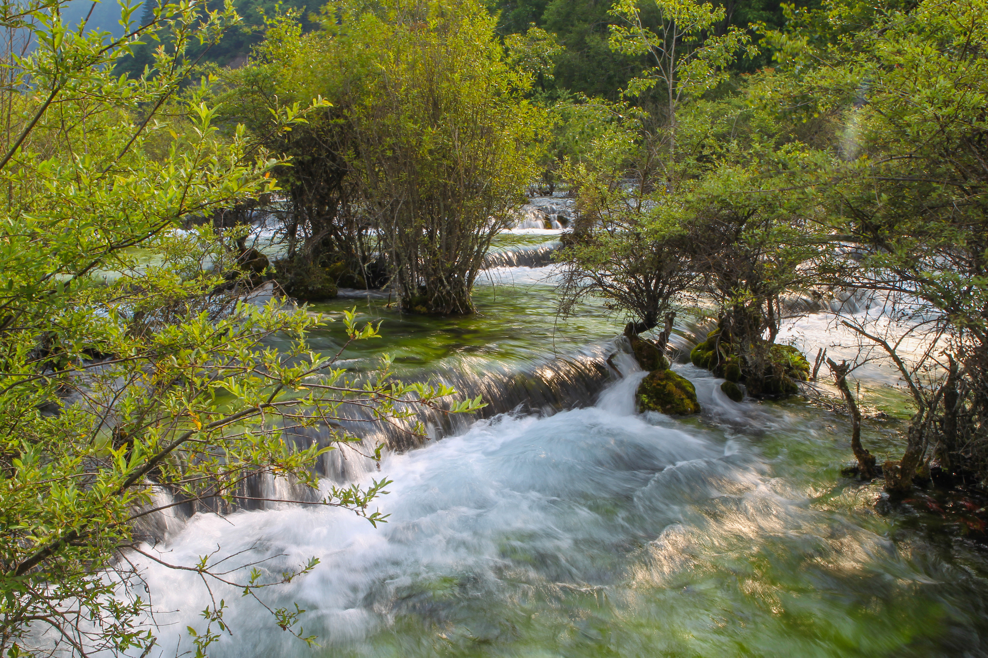 地震前的九寨沟美景,航拍地震前九寨沟所有景点