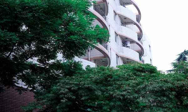 大冶一中2017年高考全体成绩表,大冶一中成绩排400名