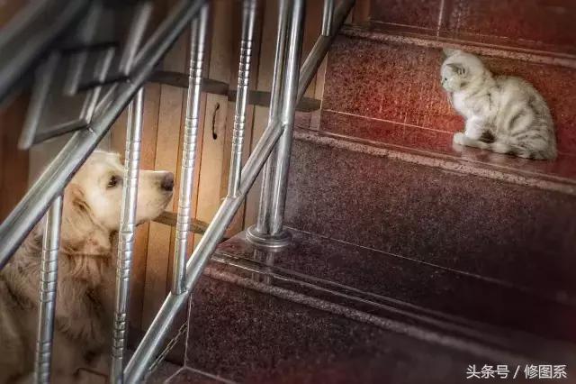 修图师会用哪些修图软件,修图师都用ps么