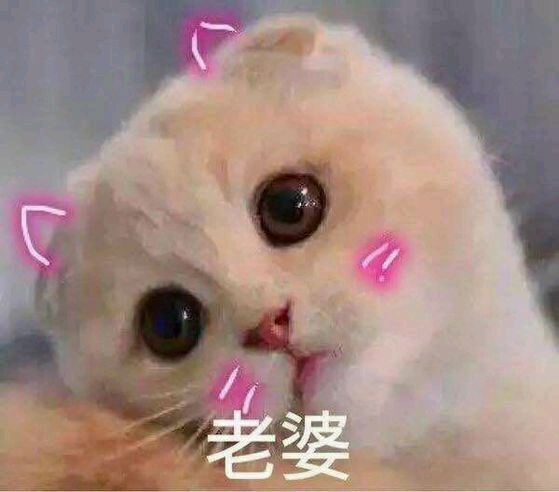 情侣头像ins高级质感高清,特别明显的高清情侣头像